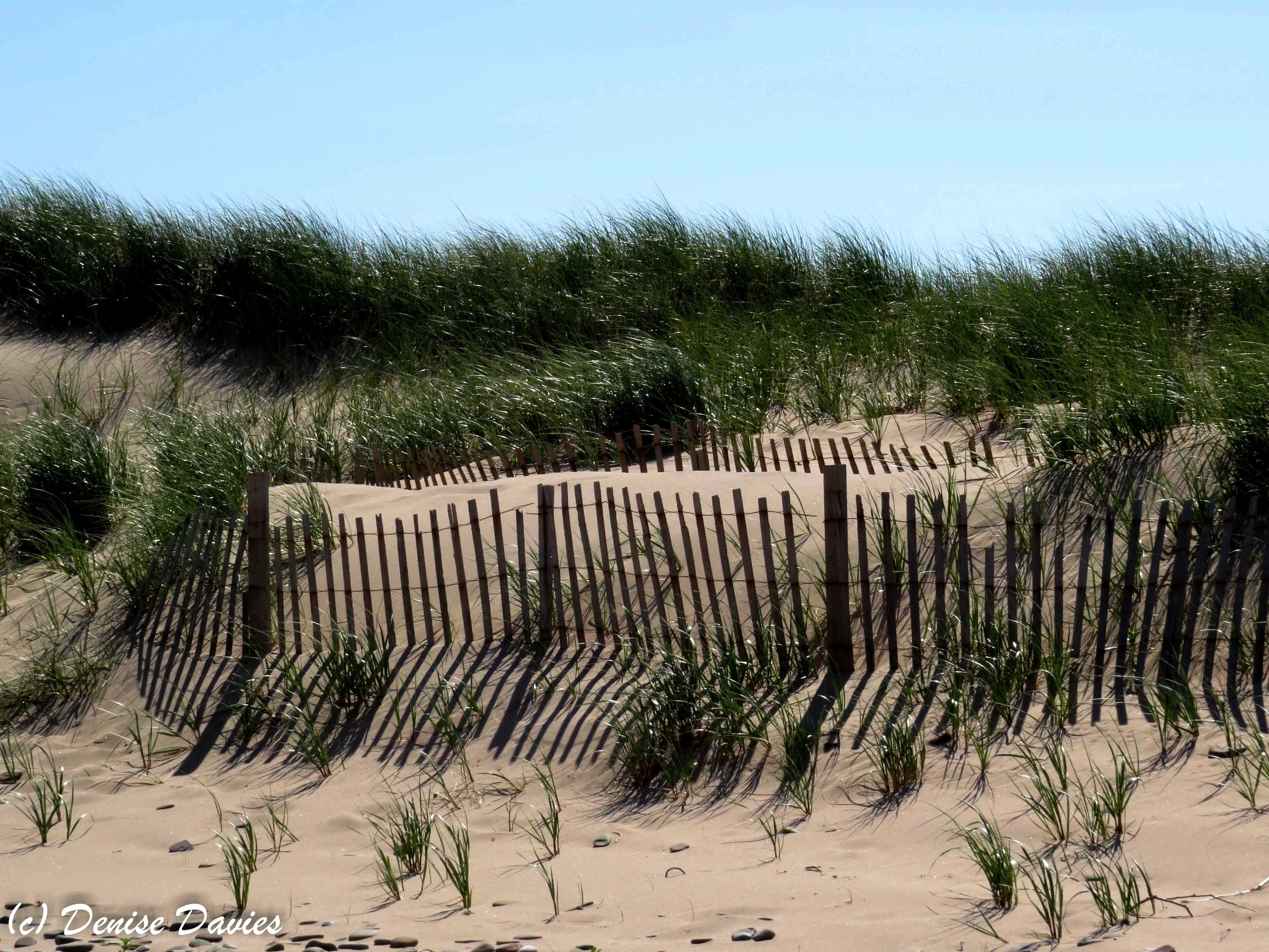 Sun and shadow on the dunes, Inverness Beach