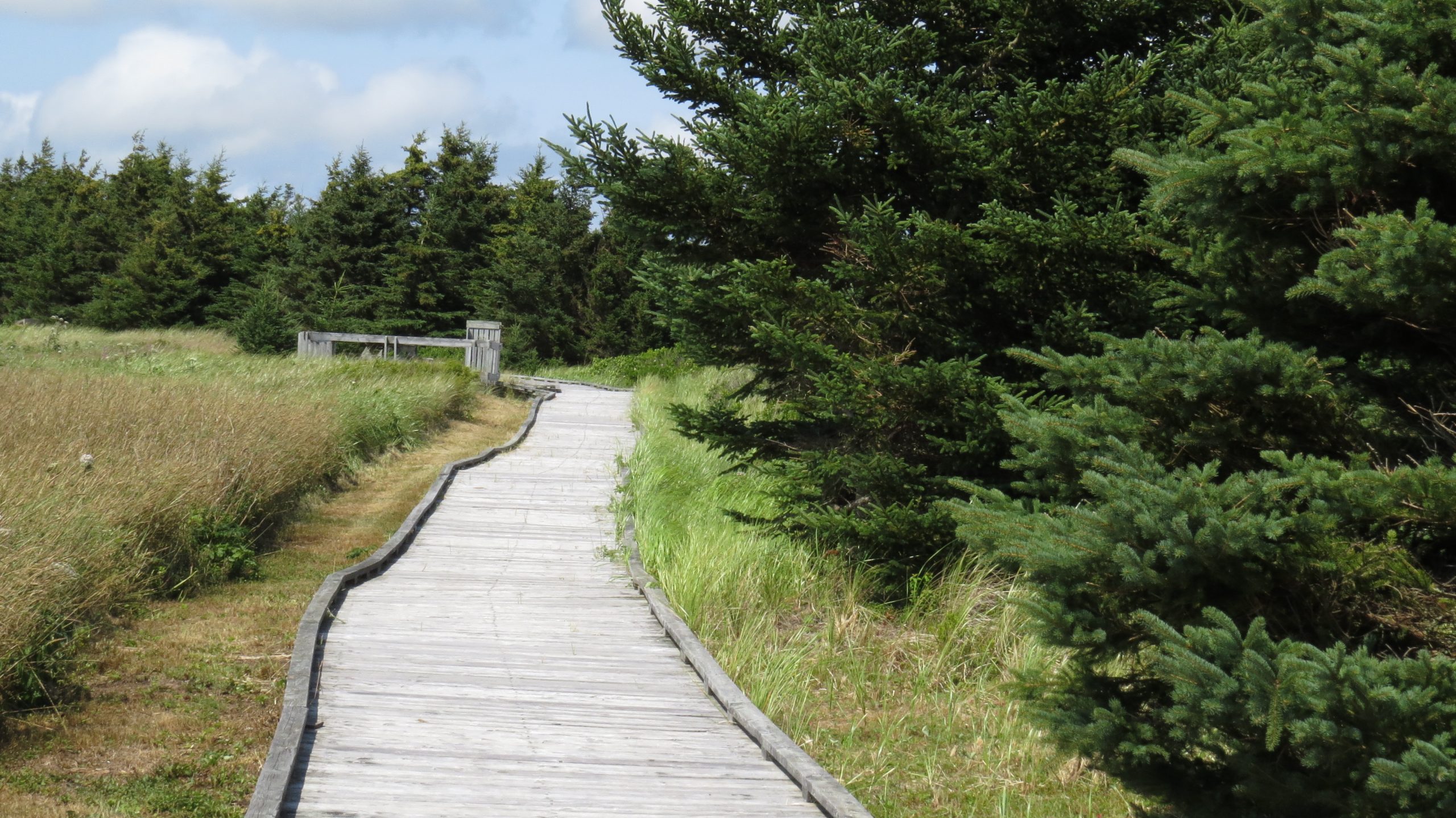 Out and About Nova Scotia