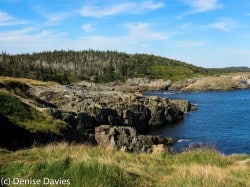 Louisbourg Lighthouse Trail