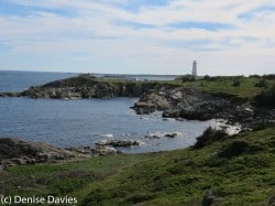 Louisbourg Lighthouse Trail
