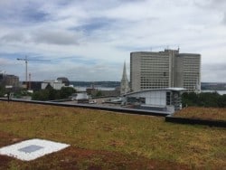 Halifax library rooftop green space